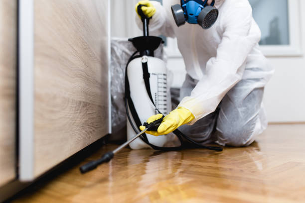 Best Mosquito Control Services  in Damascus, OR