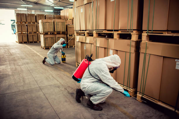 Best Flea Control Services  in Damascus, OR