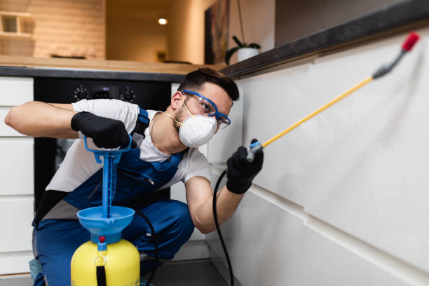 Best Pest Prevention Services  in Damascus, OR