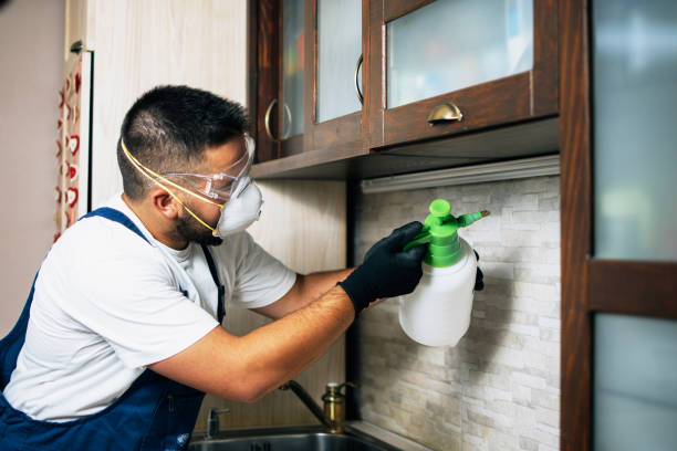 Best Insect Control  in Damascus, OR