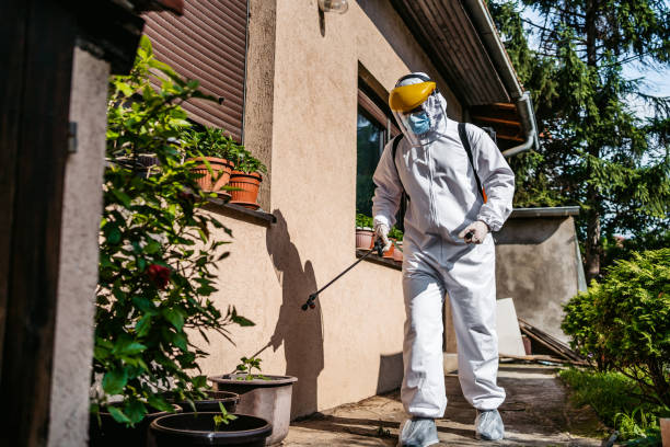 Best Local Pest Control Services  in Damascus, OR