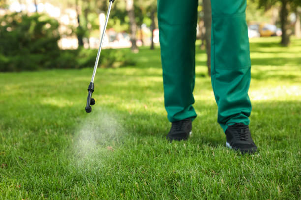 Best Pest Control Cost  in Damascus, OR