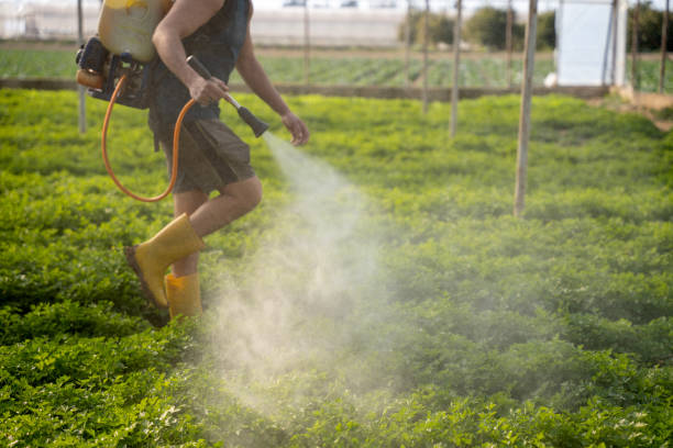 Professional Pest Control in Damascus, OR