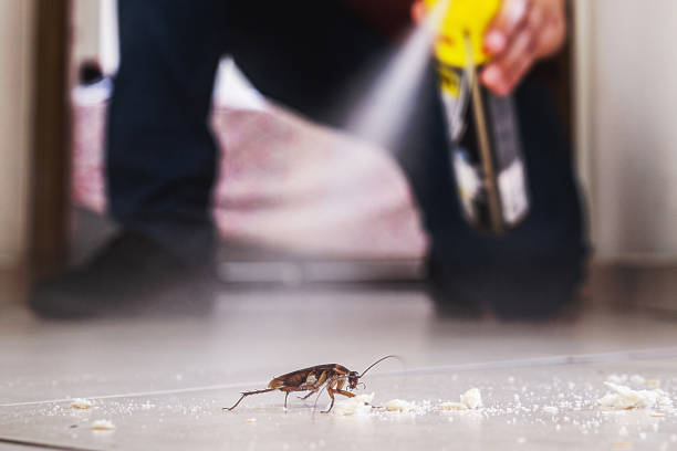 Best Best Pest Control Companies  in Damascus, OR