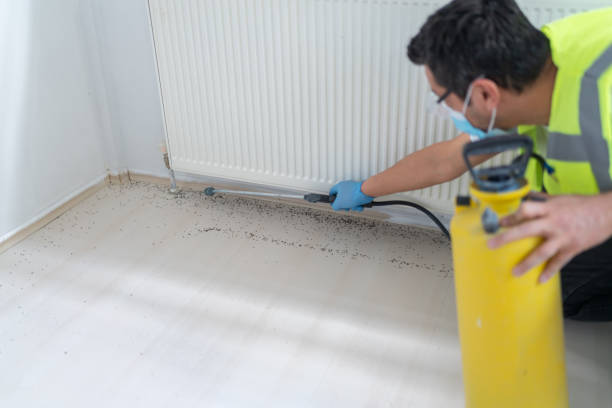 Best Commercial Pest Control Services  in Damascus, OR